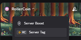The RollerCoin Discord channel information panel, with the RC Server Tag option at the top of the server settings.